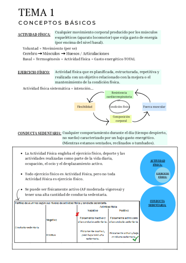 Miniatura del documento EDUCACION-FISICA-RESUMEN-TEMAS.pdf