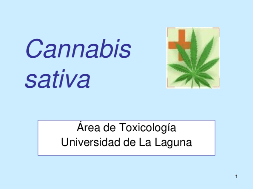 Miniatura del documento Cannabis-clase-drogas.pdf