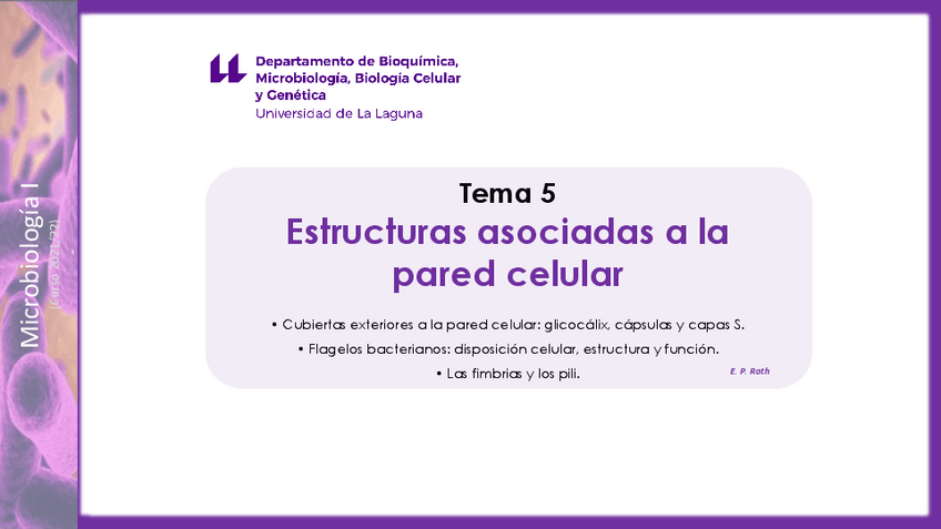 Miniatura del documento Tema-5Estructuras-asociadas-a-la-pared-celular-DEFINITIVO.pdf