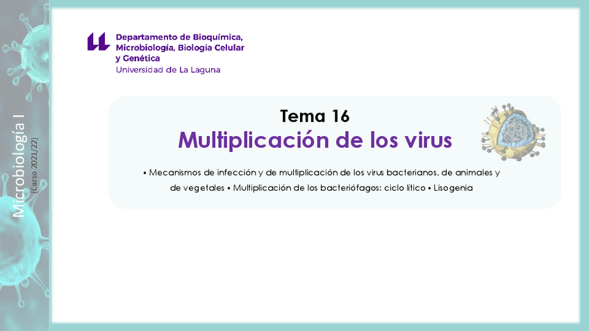 Miniatura del documento Tema-16--Multiplicacion-de-los-virus.pdf