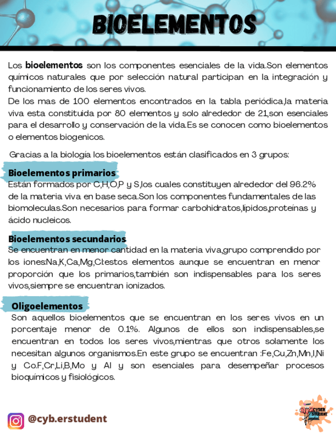 Miniatura del documento BIOELEMENTOS.pdf