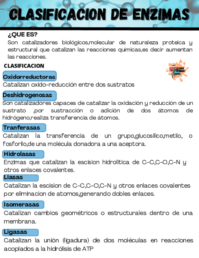 Miniatura del documento CLASIFICACION-DE-ENZIMAS.pdf