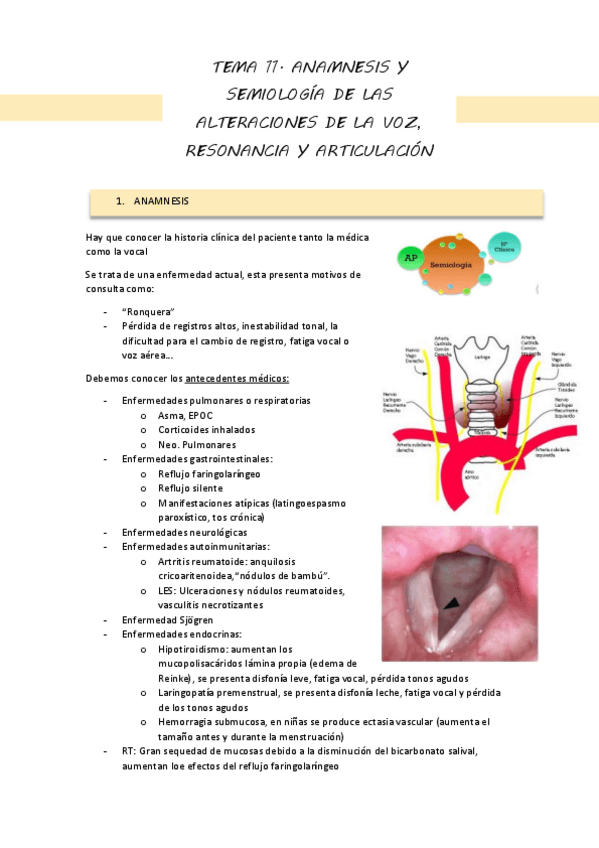 Miniatura del documento TEMA-11.-PAT-VHA.pdf