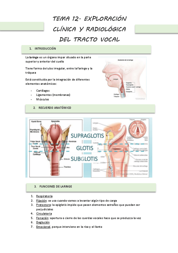 Miniatura del documento TEMA-12.-PAT-VHA.pdf