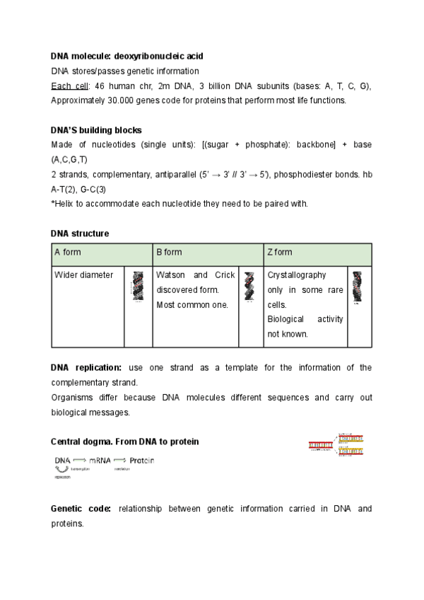 Miniatura del documento molecular-biology.pdf