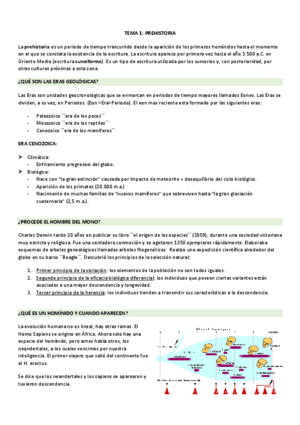 Miniatura del documento APUNTES-HISTORIA.-todo.pdf