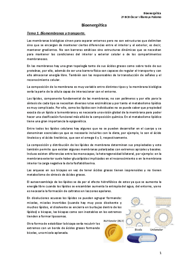 Miniatura del documento Bioenergetica-Temas-1-al-5.pdf