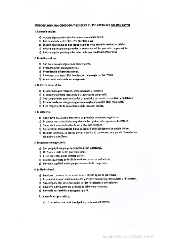 Miniatura del documento EXAMEN-1.pdf