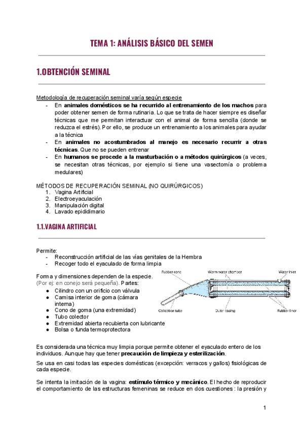Miniatura del documento UD-1-TEMA-1-2.pdf