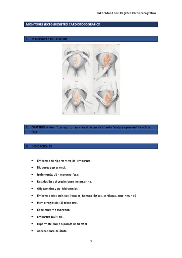 Miniatura del documento MONITORES.pdf