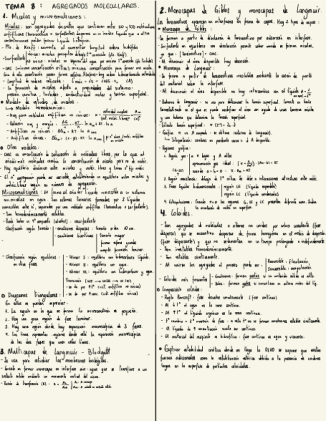 Miniatura del documento Resumen-Tema-8.pdf