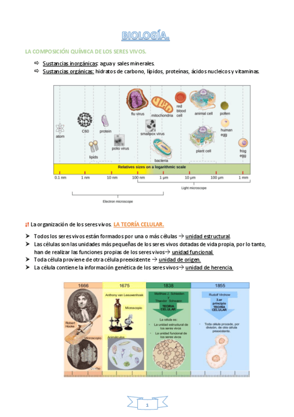 Miniatura del documento Apuntes-Biologia.pdf
