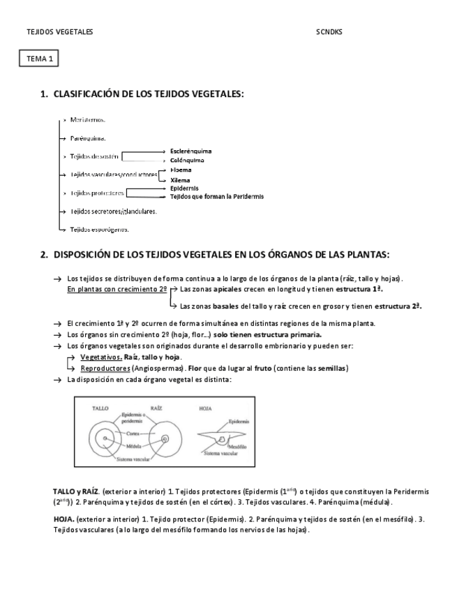 Miniatura del documento tejidos vegetales temas -1-5.pdf