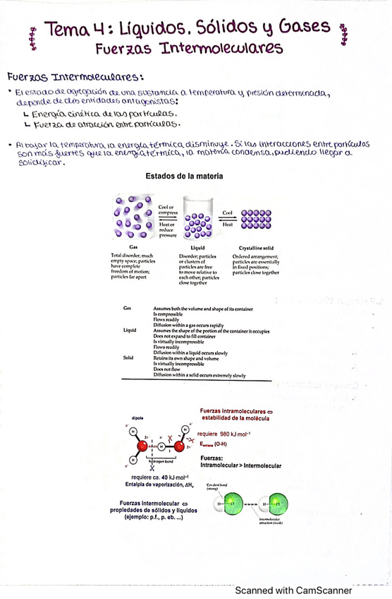 Miniatura del documento Quimica-Tema-4.pdf