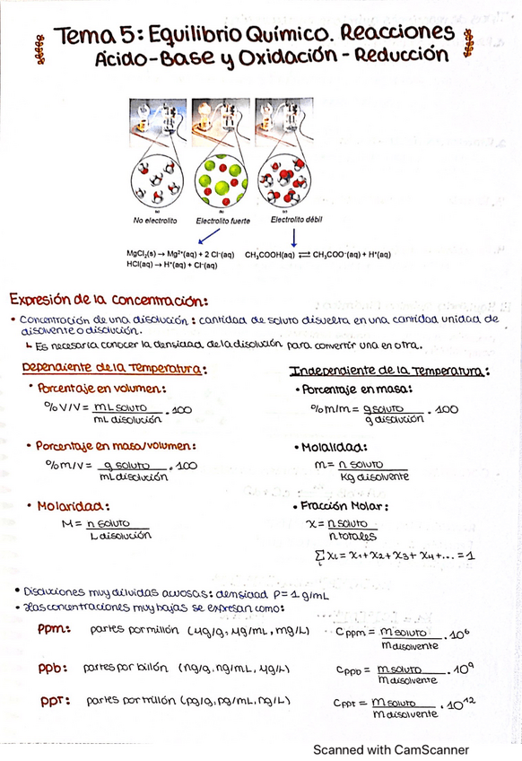 Miniatura del documento Quimica-Tema-5.pdf