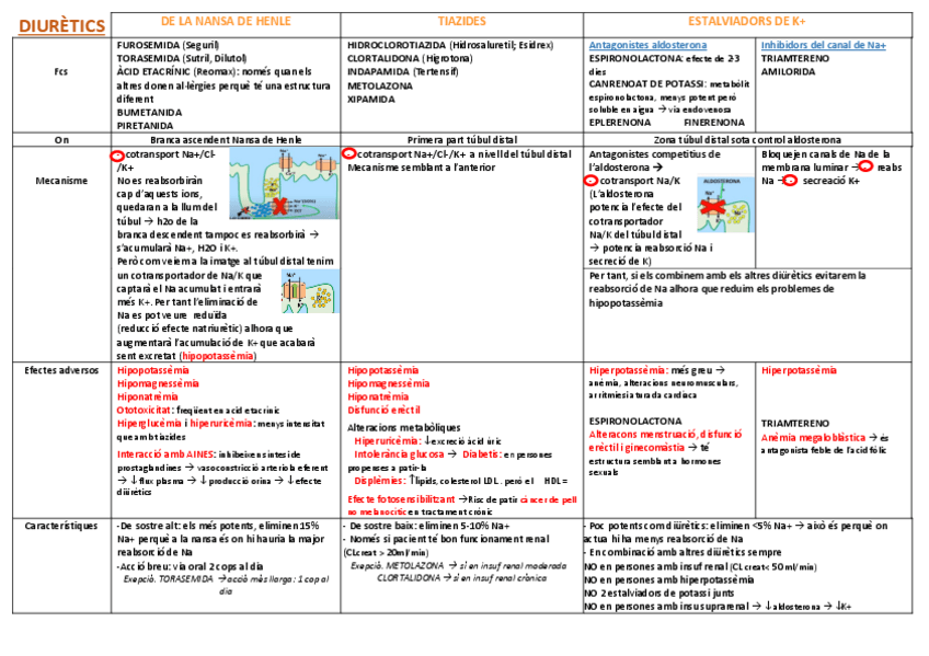 Miniatura del documento taula-resum-diuretics.pdf