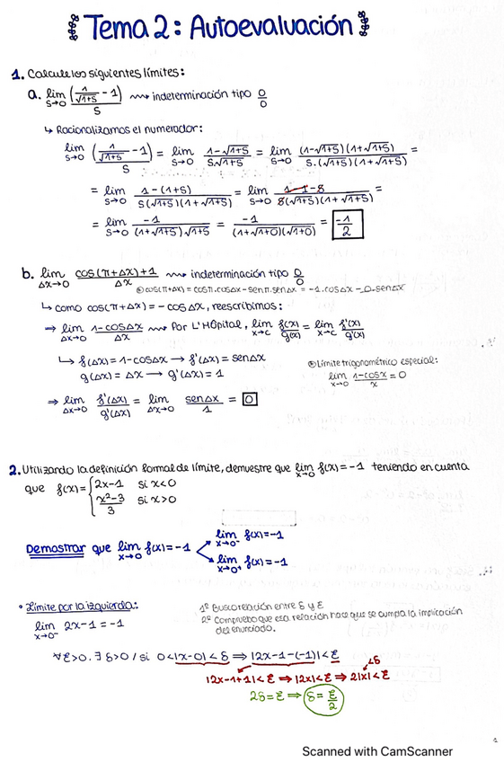 Miniatura del documento Autoevaluacion-Tema-2.pdf