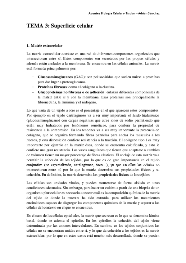 Miniatura del documento TEMA 3 bct.pdf