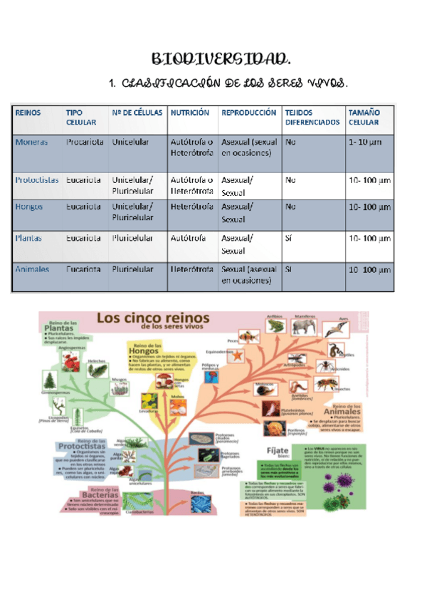 Miniatura del documento APUNTES-BILOGIA.pdf