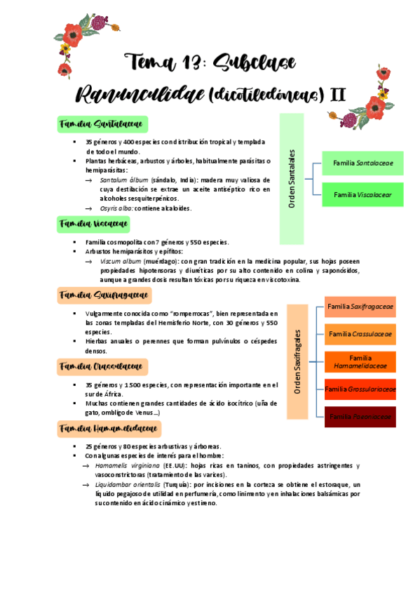Miniatura del documento Tema-13.pdf