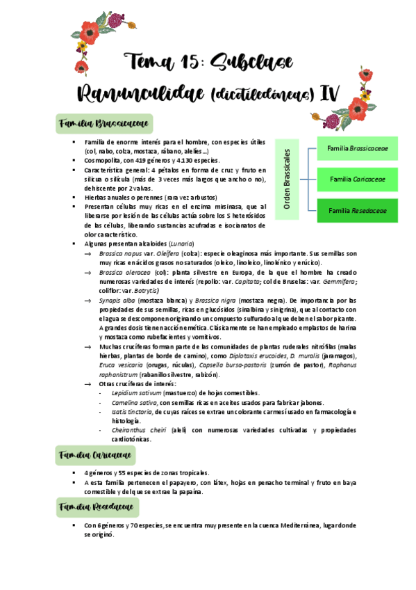 Miniatura del documento Tema-15.pdf