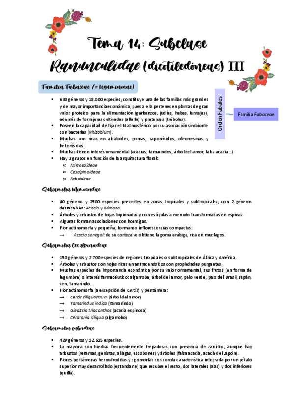Miniatura del documento Tema-14.pdf