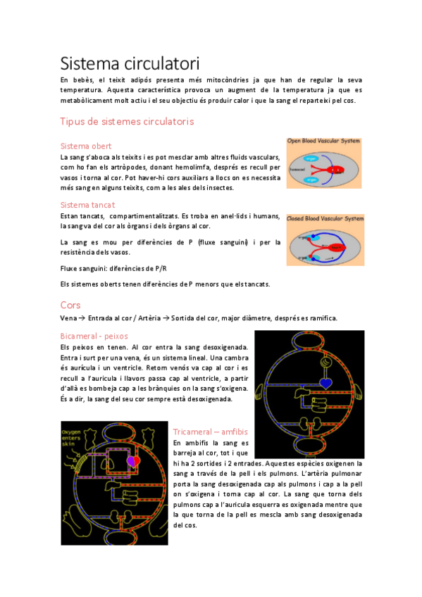 Miniatura del documento Apunts-2o-parcial--exercicis.pdf