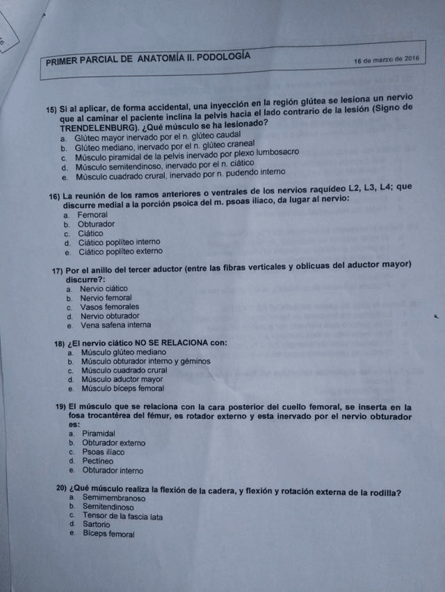 Miniatura del documento IMG_5703.JPG