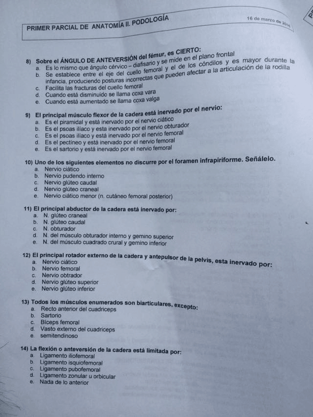 Miniatura del documento IMG_5702.JPG