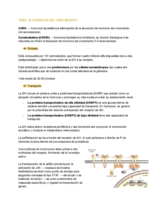 Miniatura del documento TEMA-30-HORMONA-DEL-CRECIMIENTO.pdf