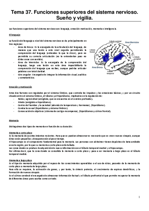 Miniatura del documento RESUMEN-Tema-37.-Funciones-superiores-del-sistema-nervioso.-Sueno-y-vigilia..pdf