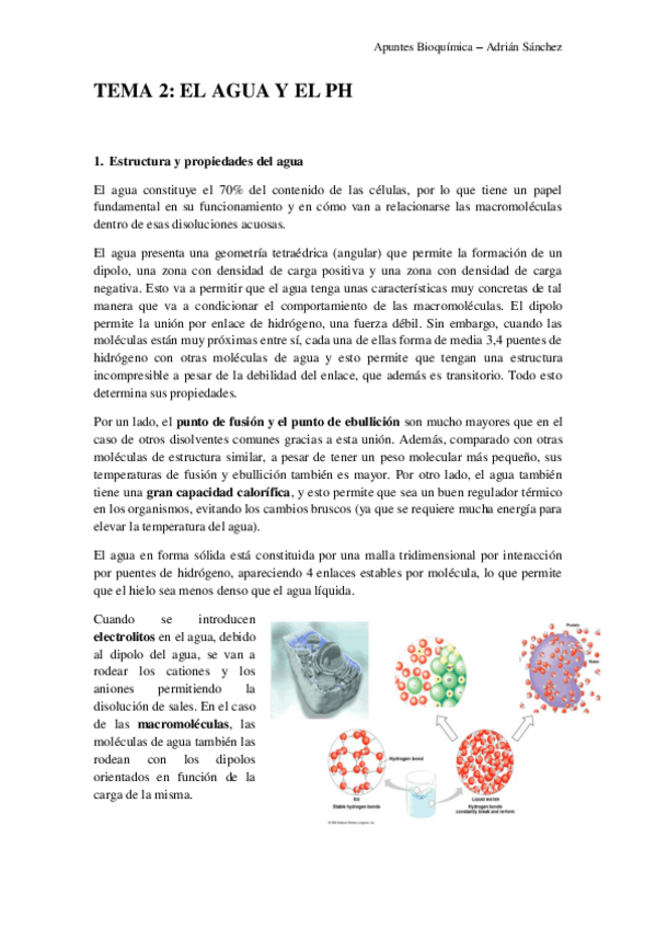Miniatura del documento TEMA 2 bioquimica.pdf