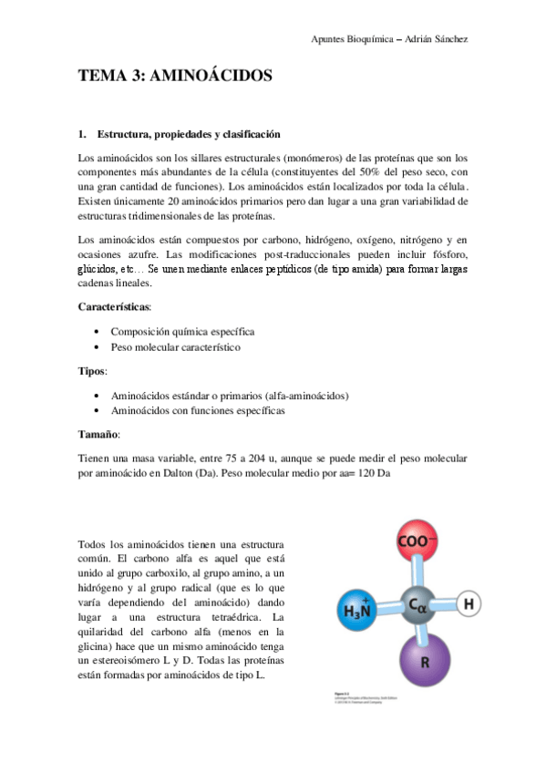 Miniatura del documento TEMA 3 bioquímica.pdf