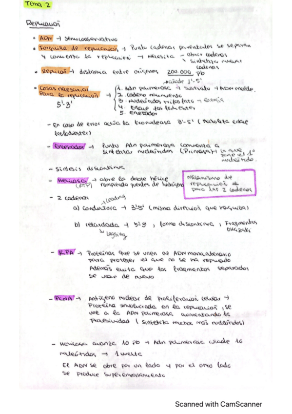 Miniatura del documento TEMA-2-REPLICACION-ESQUEMA-RESUMEN.pdf