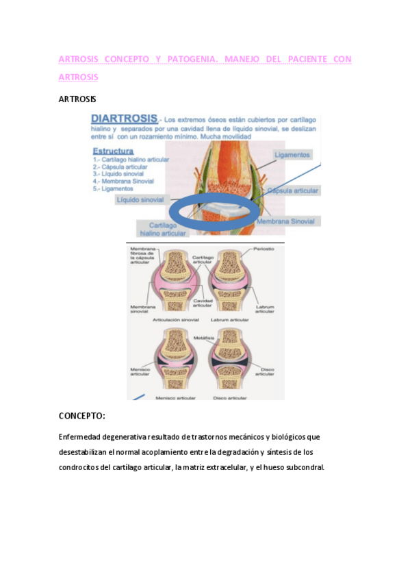 Miniatura del documento Artrosis.pdf