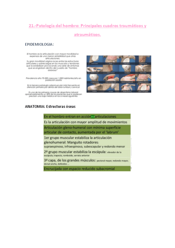 Miniatura del documento t-21-patologia-de-hombro.pdf