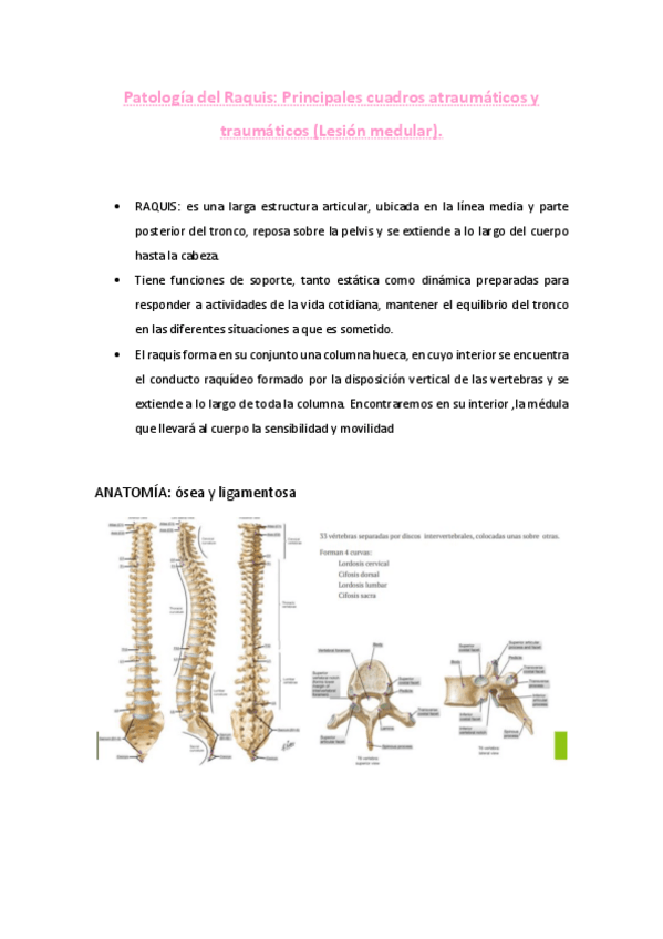 Miniatura del documento t-27-patologia-dle-raquis.pdf