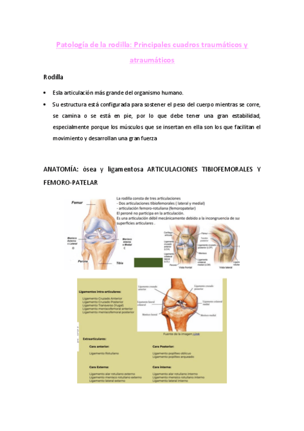 Miniatura del documento t-25-Patologia-de-la-rodilla.pdf