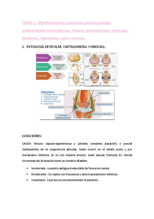 Miniatura del documento TEMA-2.pdf