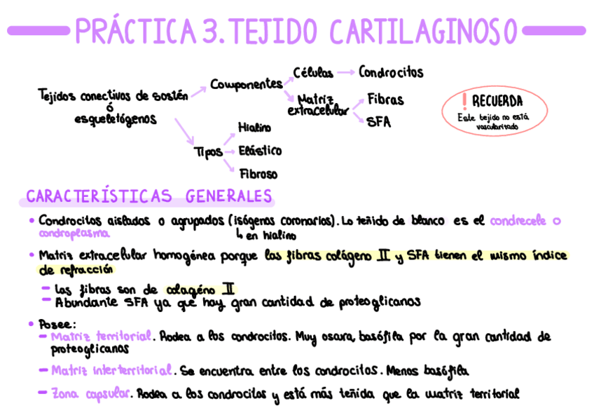 Miniatura del documento Tejido-cartilaginoso.pdf