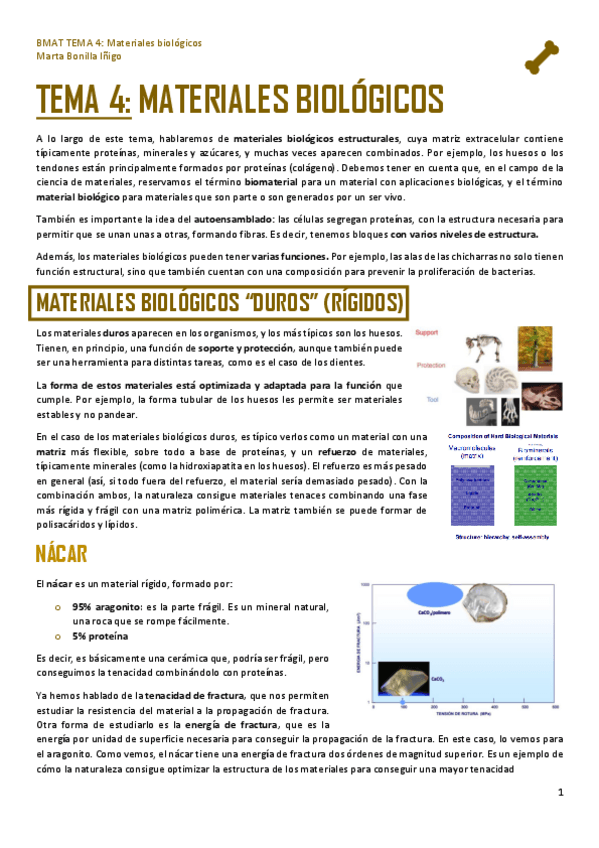 Miniatura del documento BMAT-TEMA-4-MATERIALES-BIOLOGICOS.pdf