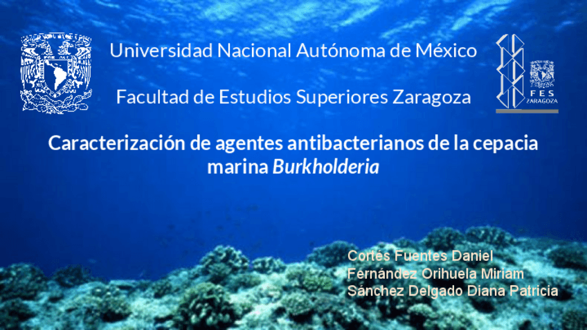 Miniatura del documento Equipo-Marino.pdf