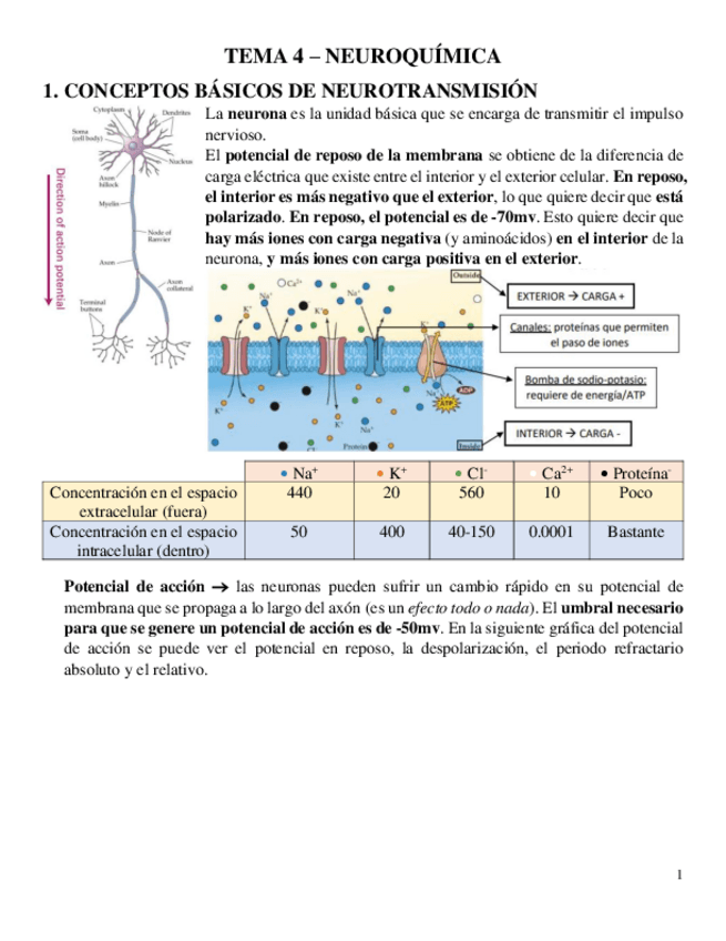 Miniatura del documento TEMA-4-PSICOFARMA.pdf