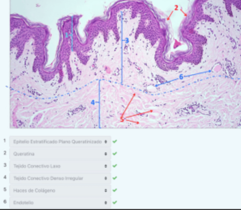 Miniatura del documento Examen-Practico-enero-22-23-TABRAUE.pdf