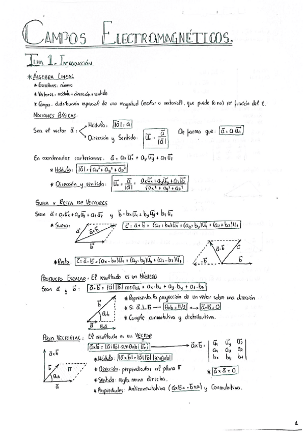 Miniatura del documento CAMPOS T.4 (Introd. Electromagnetismo).pdf