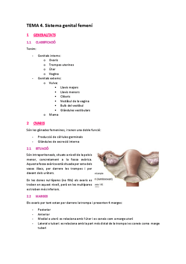 Miniatura del documento TEMA-4.pdf