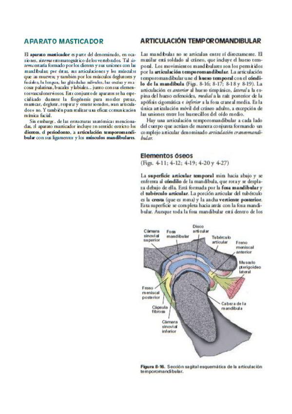Miniatura del documento TEMA-10.pdf