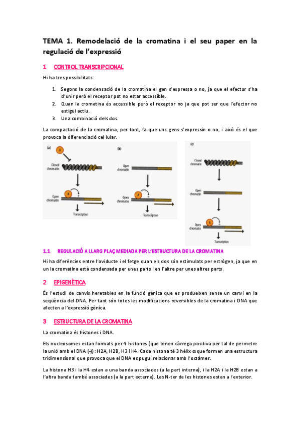 Miniatura del documento TEMA-1.pdf