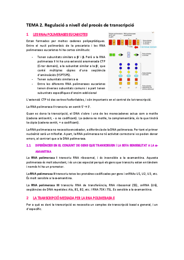 Miniatura del documento TEMA-2.pdf