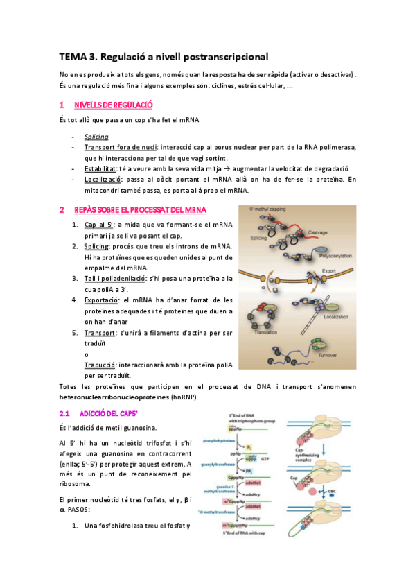 Miniatura del documento TEMA-3.pdf